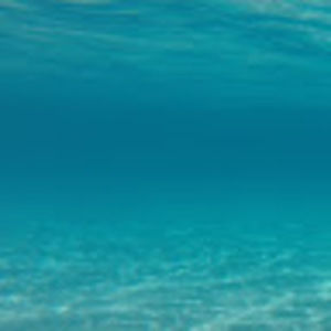 Meet your Posher, Jonah